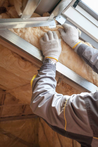 Best Blown-In Insulation  in Rock Springs, WY